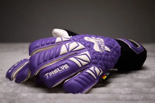 TWELVE NEW MASTER 2.0