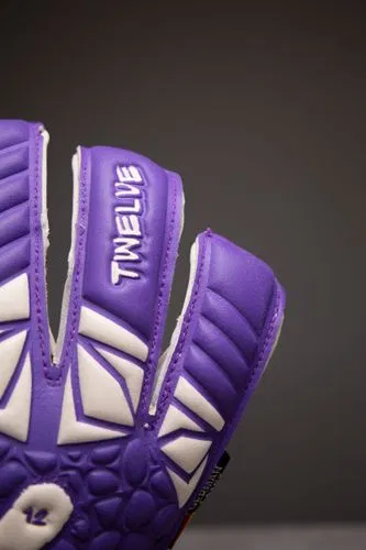 TWELVE NEW MASTER 2.0